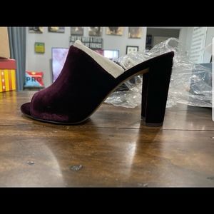 Ann taylor mules